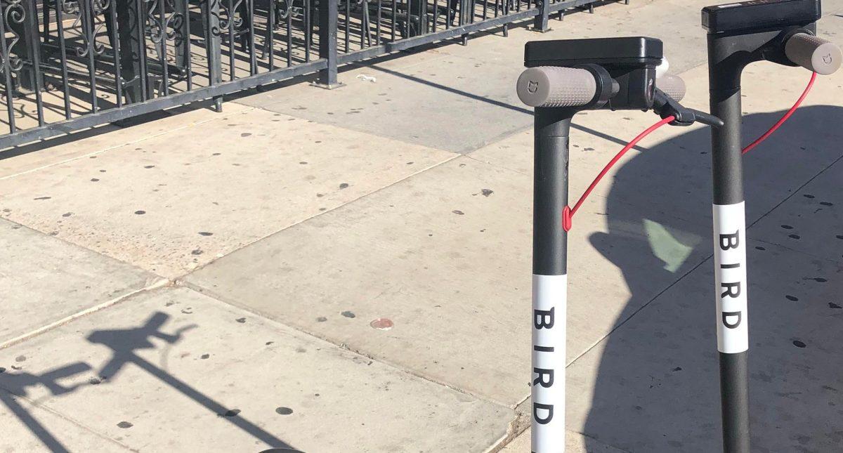 Bird scooters migrate to Riverside