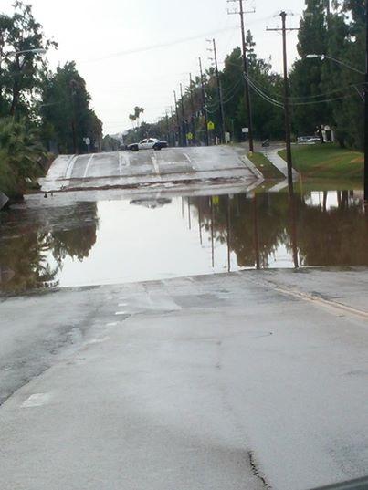 Rainwater floods Linden Street. (Courtesy of Tanner Summers)