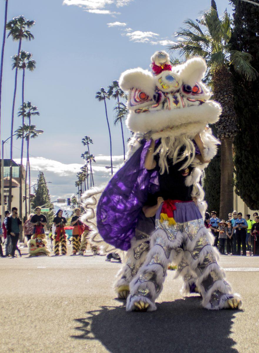 Luis Solis | Viewpoints
The Southern Young Tigers Lion Dance Team perform the basic movements of the lion dance. 