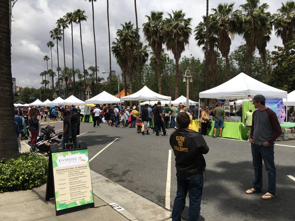 Riverside Metropolitan Museum and UCR's Entomology Graduate Student Association hosted Riverside's 2nd Annual Insect Fair on April 30. Alexis Naucler | Viewpoints