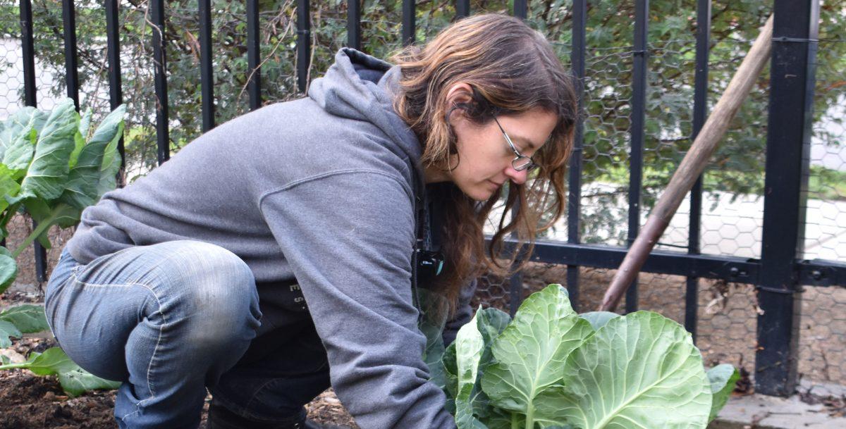 Riverside City College's Urban Farm earns statewide honor