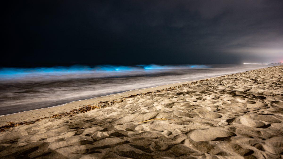 Bioluminescent waves break on the shores of Carlsbad Beach May 9. This phenomenon, caused by algae blooms, occurs every few years and can be seen at beaches all around the world. Californians can expect to see these unique waves through the end of May in San Diego County, Orange County and surrounding areas. (Angel Peña | Viewpoints)