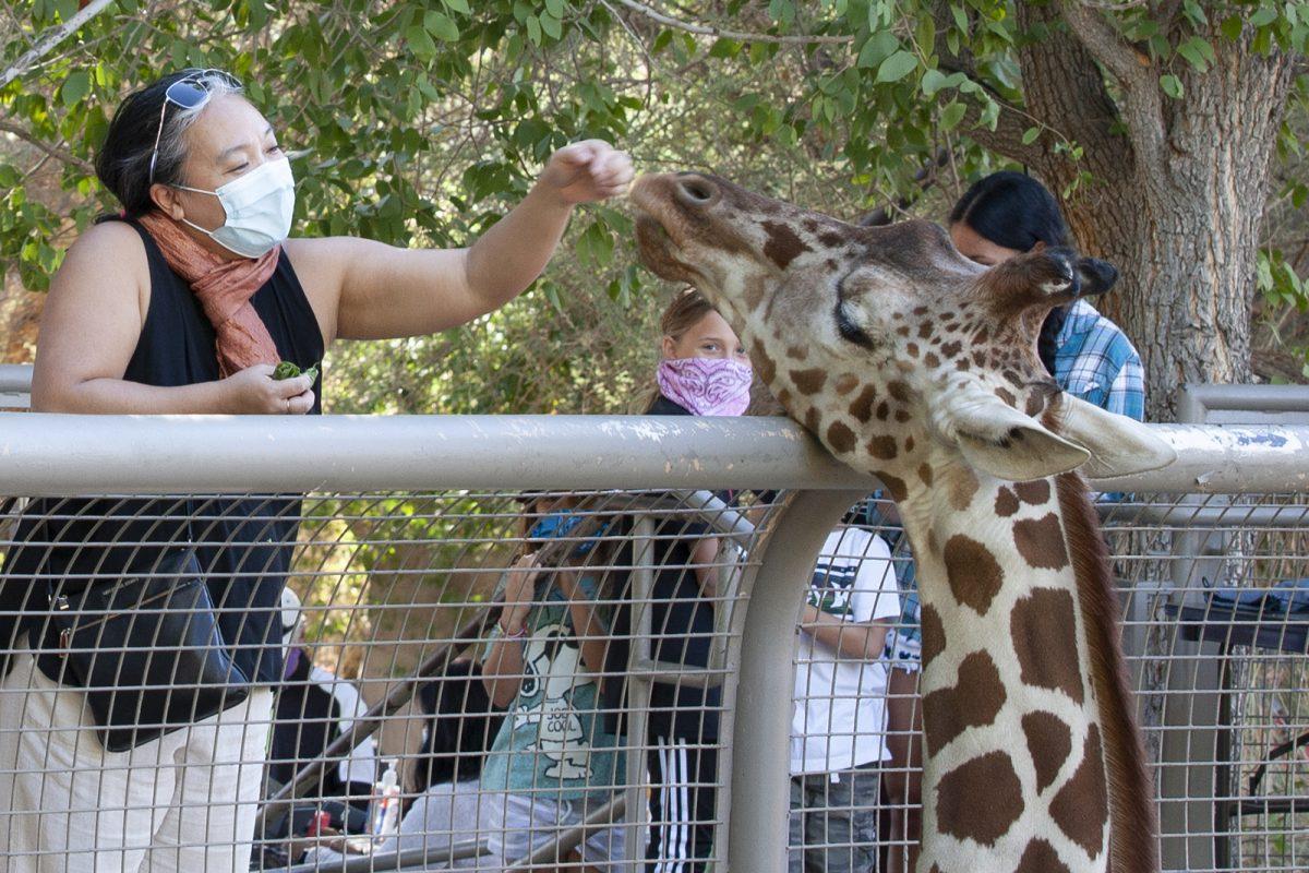 The Living Desert Zoo and Gardens raises conservation awareness