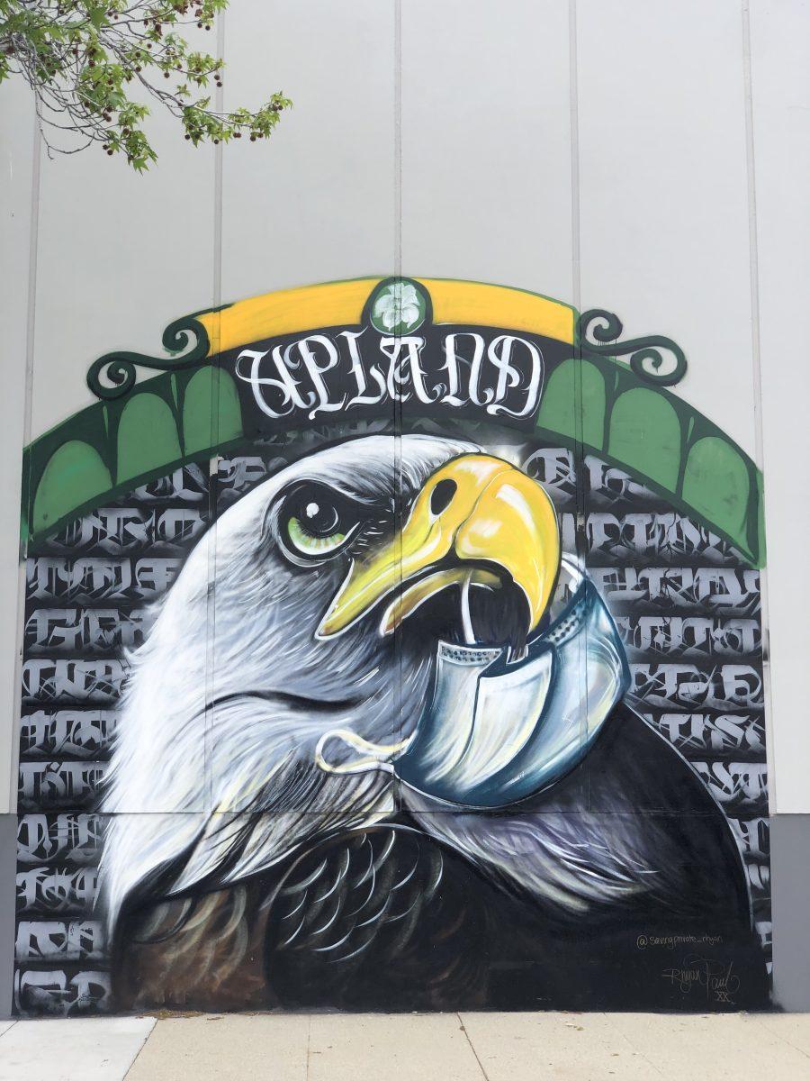 Hidden gem shines in Upland