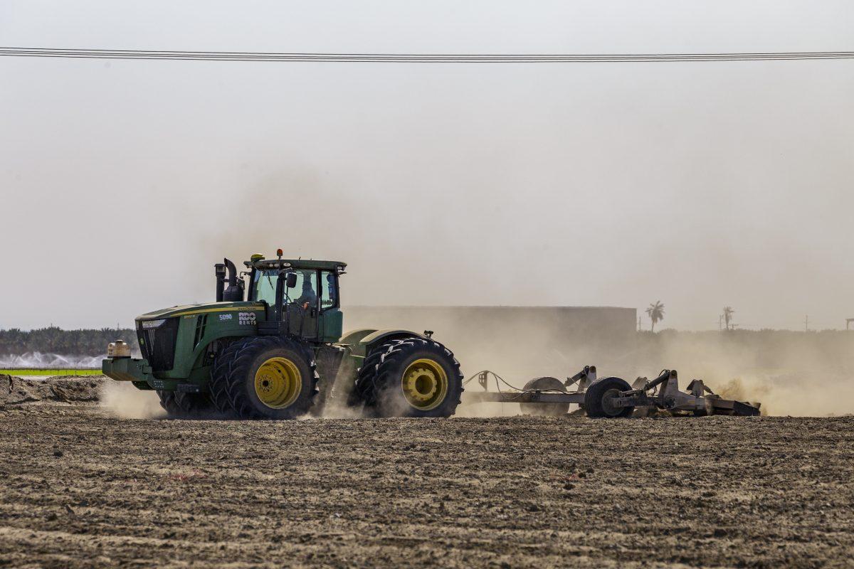 A farmer in Thermal is racing against the clock Oct. 1 to get his carrot field planted before additional distribution cuts are made to the restricted water supply. (Joyce Nugent | Viewpoints)