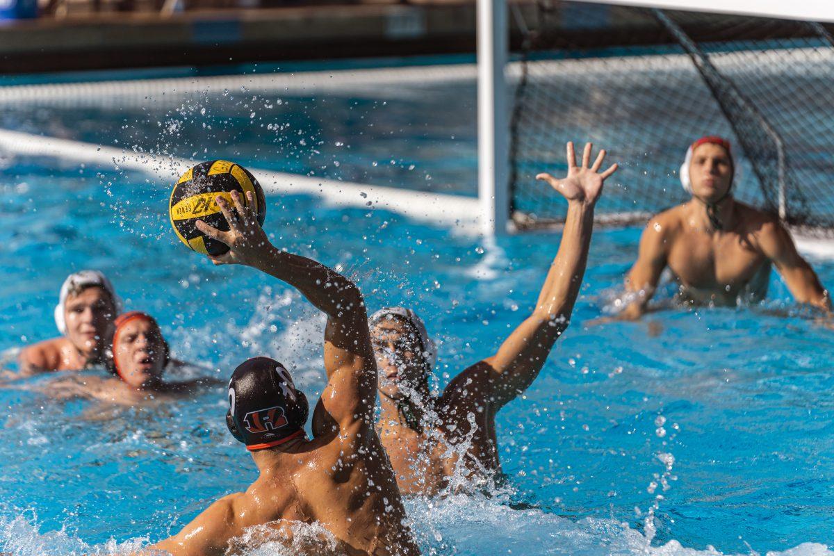 Colin Tormey looks for the angle he needs to get the ball into the goal during the match between the Tigers and Palomar College Comets on Oct 8 at the Riverside Aquatics Center.

Photo by Stephen Day, Viewpoints.