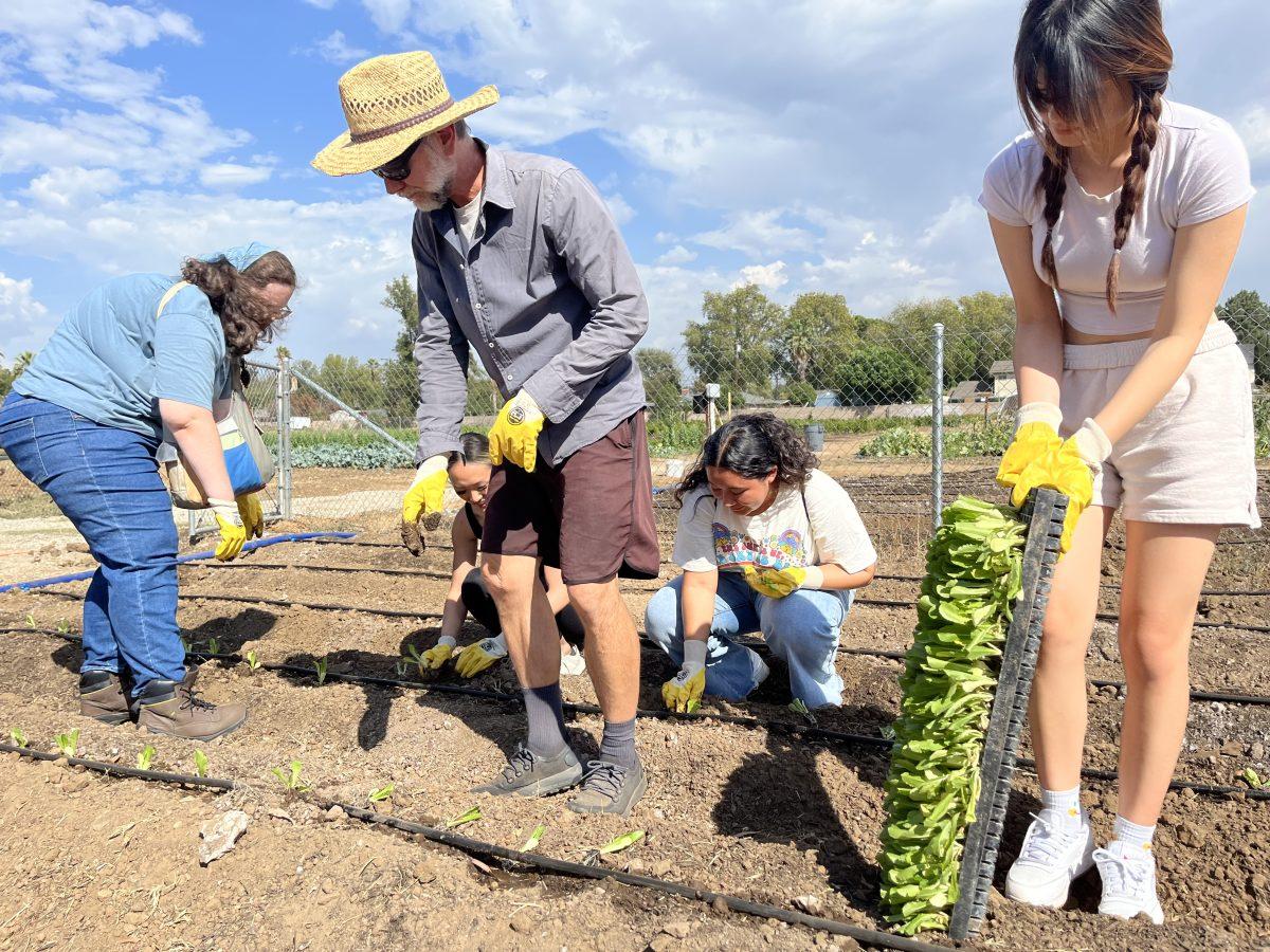 Collective measures toward sustainability begin at home