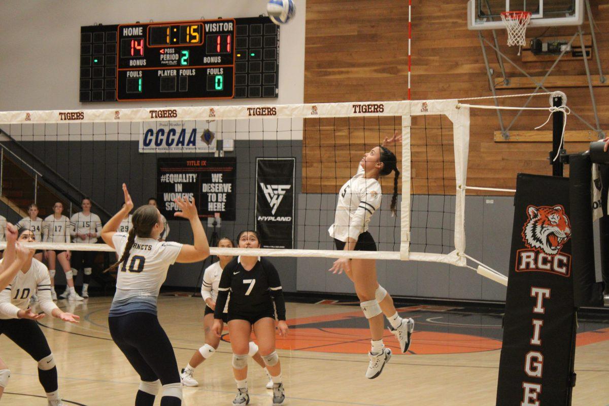 Freshman Setter Kaina Myera spiking the ball in a game against Fullerton College on November 8 at Wheelock Gym. By Jesus Coronel.