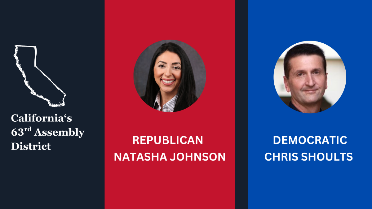 A graphic showing the candidates of the special election. From left to right,  Republican Natasha Johnson, Democrat Chris Shoults. 