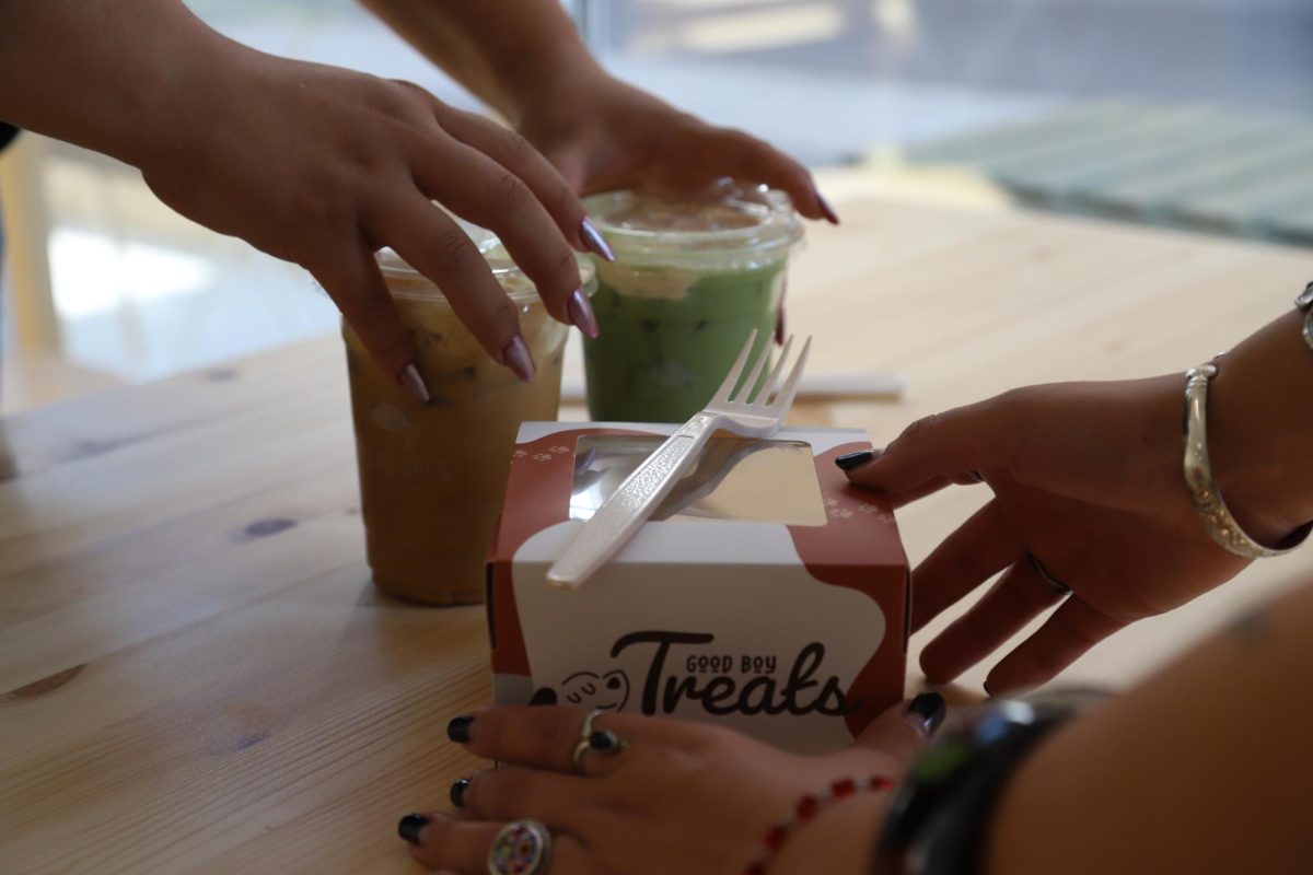 Stray Dogs Coffee stay up to date on trendy packaging with a korean influence.