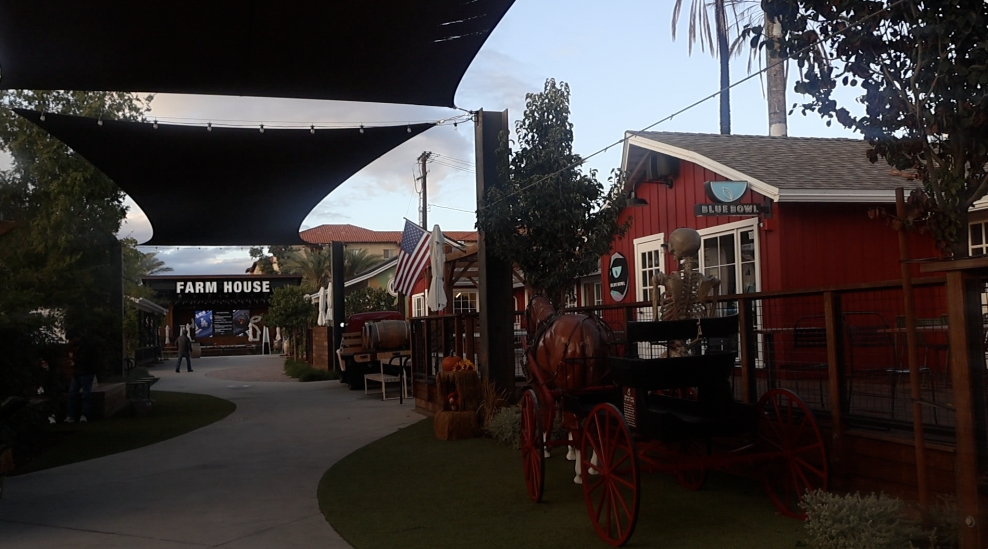 The Farmhouse Collective anticipating for Tim Burton Tuesdays on Oct.14.