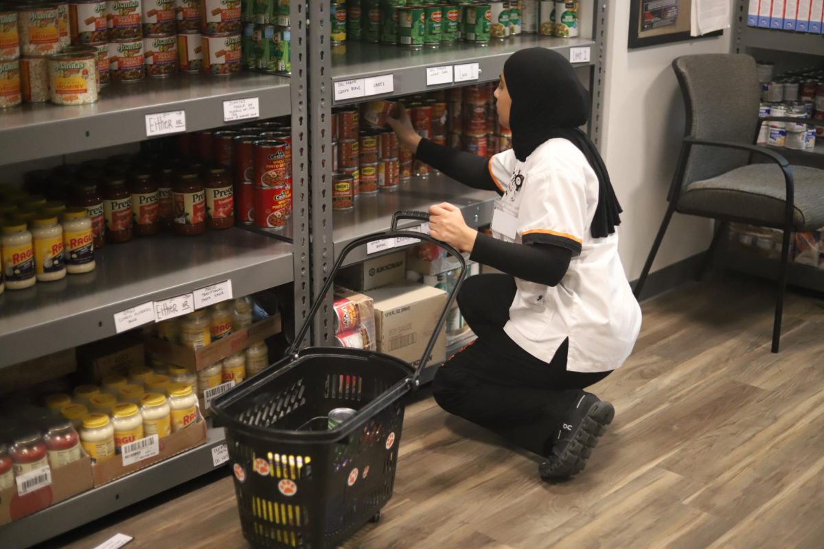 Nursing student, Haneen Jaradat, looks through the food shelves at the Riverside City College food pantry on Nov. 12.