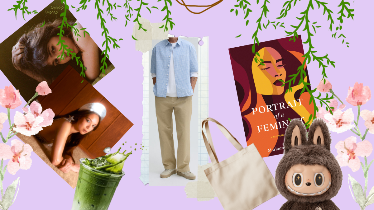 A visual breakdown of aesthetics and interests of the performative male archetype.